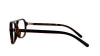 Gucci Web GG1673O 002 53-18 Skildpadde