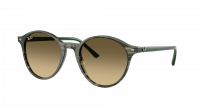 Ray-Ban Bernard RB2230 14210A 51-21 Transparent shade fantasy green