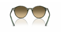 Ray-Ban Bernard RB2230 14210A 51-21 Transparent shade fantasy green