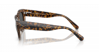 Ray-Ban Doreen RB2286 1292/B1 52-20 Havana on transparent Brown