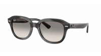 Ray-Ban Erik RB4398 1404/32 51-20 Striped Grey