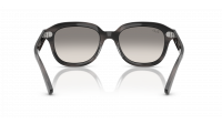 Ray-Ban Erik RB4398 1404/32 51-20 Striped Grey