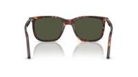 Persol Renzo PO3357S 24/31 53-19 Havana