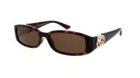 Gucci Gg logo GG1661S 002 54-16 Havana