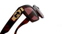 Gucci Gg logo GG1689S 002 54-19 Havana