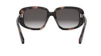 CELINE 3 dots CL40299U 55K 55-18 Tortuga