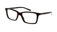 Gucci Web GG1672O 006 56-18 Školjka