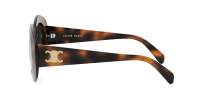 CELINE Triomphe CL40292U 53A 54-20 Escama