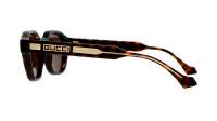 Gucci Lettering GG1730S 002 50-21 Havana