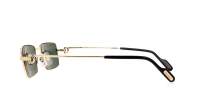 Cartier Core range CT0501S 007 54-20 Gold 