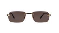 Cartier Santos de cartier CT0498S 001 55-20 -