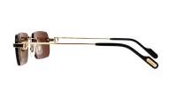 Cartier Santos de cartier CT0498S 001 55-20 -