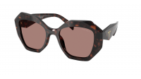 Prada Symbole PR 16WS 17N-60B 53-20 Root tortoise