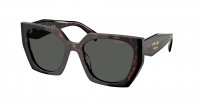 Prada Eyewear PR 15WS 24B40L 54-19 Root black