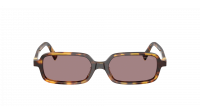 Miu Miu Regard MU 11ZS 14L20I 51-16 Havana Honey