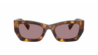 Miu Miu Glimpse MU 09WS 14L20I 53-22 Havana Honey