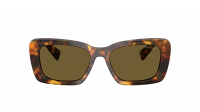 Miu Miu Glimpse MU 07YS 14L09Z 53-18 Honey Havana