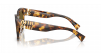 Miu Miu Glimpse MU 01YS 14L09Z 51-22 Honey Havana