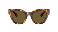Miu Miu Glimpse MU 01YS 14L09Z 51-22 Honey Havana