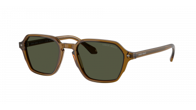 Lunettes de soleil Giorgio Armani AR8220 6172/31 52-20 Transparent Green en stock