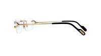 Cartier Core range CT0344O 003 56-19 Oro