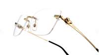 Cartier Panthère de Cartier CT0522O 001 57-17 Gold
