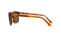 Vuarnet Belvedere 01 VU40010I 53Q 57-17 Tortuga