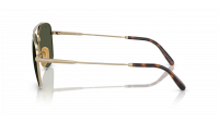Ray-Ban William titanium RB8097 9265/31 59-17 Goud