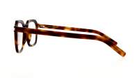 Saint Laurent Corner angle SL 715 SLIM OPT 003 49-21 Havane