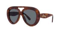 Loewe Curvy LW40144U 53V 55-16 Havane