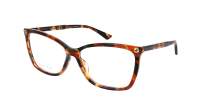 Gucci Gg logo GG0025O 014 56-14 Havana