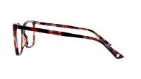 Gucci Gg logo GG0025O 13 56-14 Havana
