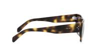 Sunglasses CELINE 3 dots hd CL40297U 53E 53-18 Havana in stock display picture 2