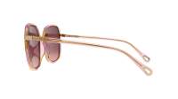 Chloé Franky CH0031S 013 56-19 Havana Pink