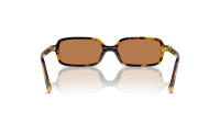 Miu Miu Regard MU 11ZS VAU2Z1 51-16 Havana