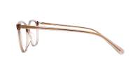 Gucci Gg logo GG0550O 020 53-16 Brown transparent