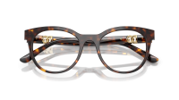 Dolce & Gabbana DG3399 502 50-20 Havana
