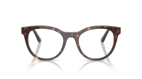 Dolce & Gabbana DG3399 502 50-20 Havana