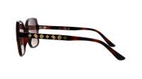 Guess GU00100/S 52F 55-17 Havana Brown