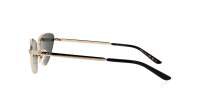 Gucci Lettering GG1879S 001 57-16 Goud