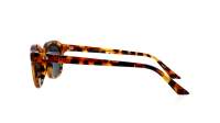 Gucci Rivets GG1892S 002 50-21 Havana