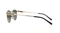 Gucci GG1875S 001 48-21 Ouro