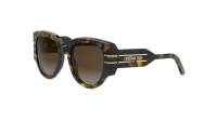 DIOR Signature DIORSIGNATURE R2I 20F1 53-20 Schildpad