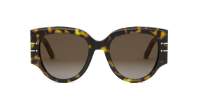 DIOR Signature DIORSIGNATURE R2I 20F1 53-20 Schildpad