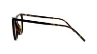 Saint Laurent Corner angle SL 214 KATE THIN OPT 002 55-20 Havanna