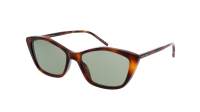 Saint Laurent Sl logo SL 775 003 57-17 Havana
