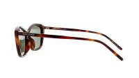 Saint Laurent Sl logo SL 775 003 57-17 Havana