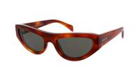 Gucci GG1919S 004 55-19 Havana Grey