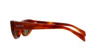 Gucci GG1919S 004 55-19 Havana Grey