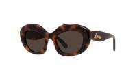 Loewe Curvy LW40153I 52E 51-20 Schildpad